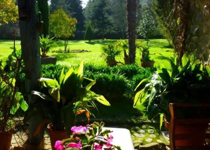 La Casona Azul Holiday home *